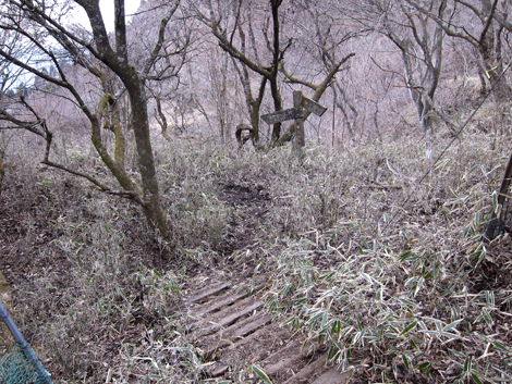 20190214hike (109)